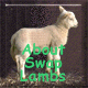 About Swap Lambs